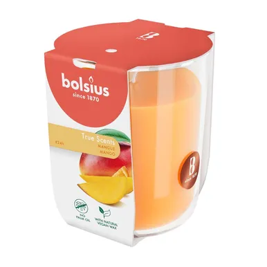 LÕHNAKÜÜNAL KLAASIS BOLSIUS 25H, MANGO