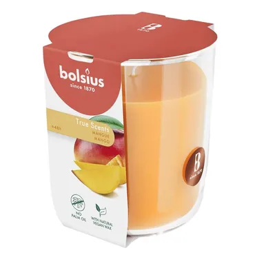 LÕHNAKÜÜNAL KLAASIS BOLSIUS 45H, MANGO