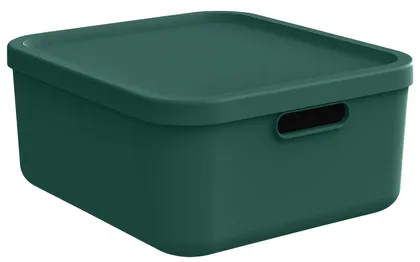 HOIUKAST KAANEGA ROTHO ALBULA 20L, JÕULU ROHELINE