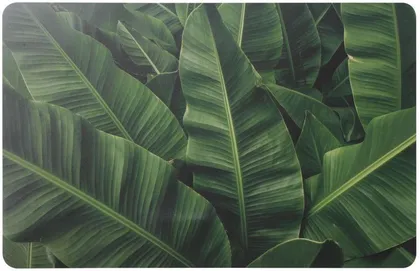 LAUAMATT SPLENDID BANANA 43,5X28CM