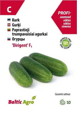 LÜHIKE KURK BALTIC AGRO "DIRIGENT" F1, 10 SEEMET