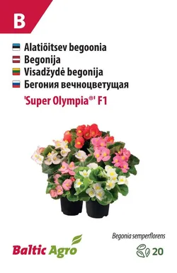 BEGOONIA BALTIC AGRO "SUPER OLYMPIA"®