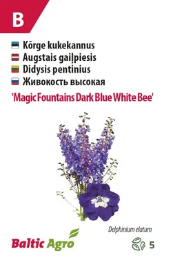 KUKEKANNUS BALTIC AGRO "MF DARK BLUE WHITE BEE"
