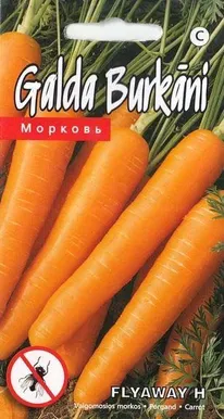 PORGAND FLYAWAY H 0,3G