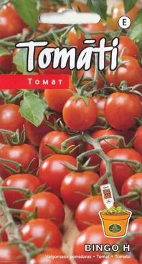 TOMAT BINGO H 0,1G