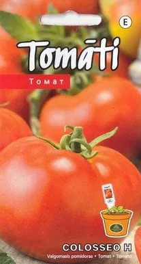 TOMAT COLOSSEO H 0,1G