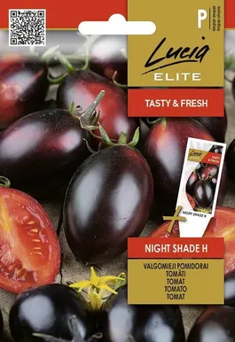 TOMAT SEKLOS NIGHT SHADE H, PAKIS 5 SEEMET