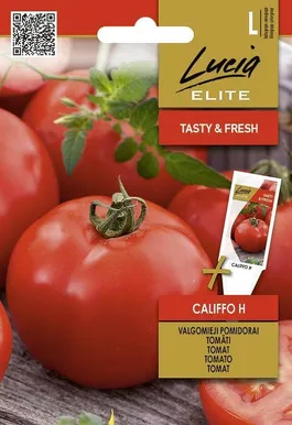 TOMAT SEKLOS CALIFFO H, PAKIS 10 SEEMET