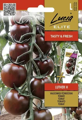 TOMAT SEKLOS LUTHER H, PAKIS 10 SEEMET