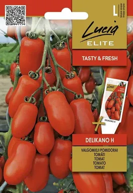 TOMAT SEKLOS DELIKANO H 0,1G