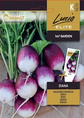 REDIS SEKLOS DIANA 5G