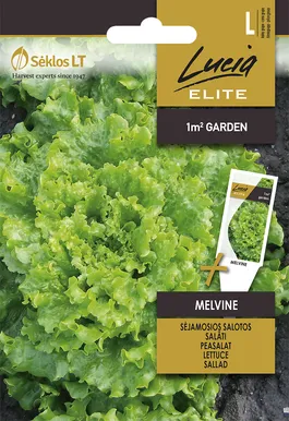 AEDSALAT SEKLOS MELVINE, PAKIS 25 SEEMET