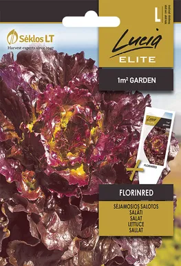 SALAT SEKLOS FLORINRED, PAKIS 25 SEEMET