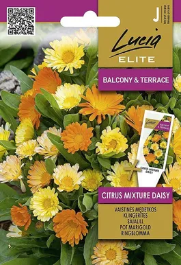 SAIALILL SEKLOS CITRUS MIXTURE DAISY 0,5G