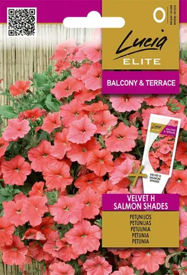 PETUUNIA (SURFIINIA) SEKLOS VELVET H SALMON SHADES, PAKIS 7 SEEMET