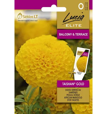 PEIULILL KÕRGE SEKLOS TAISHAN GOLD, PAKIS 20 SEEMET