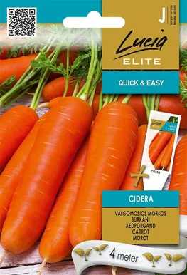 AEDPORGAND SEKLOS CIDERA, PAKIS 4 MEETRIT SEEMNELINTI