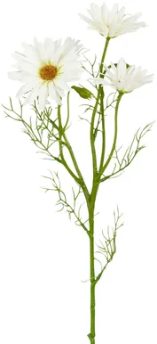 KUNSTLILL MICA DECORATIONS KARIKAKAR 60CM VALGE