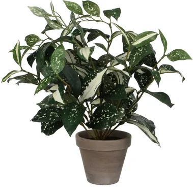 KUNSTTAIM MICA DECORATIONS CORDYLINE POTIS Ø11,5CM