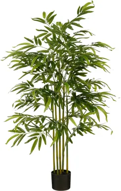 KUNSTTAIM MICA DECORATIONS BAMBUS POTIS 150X60CM ROHELINE