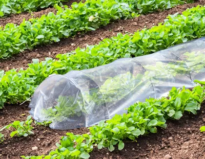 TUNNELKASVUHOONE PROGARDEN 300X45X45CM