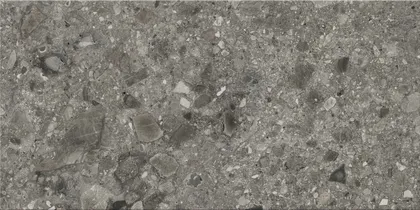 SEINAPLAAT OPOCZNO TERRAZZO STONE GREY MATT 29,8X59,8CM 1,6M² PAKIS