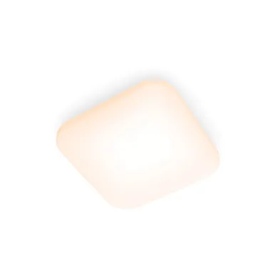 LAEVALGUSTI MAUVE CL270 EC 12W 2700K RUUT VALGE