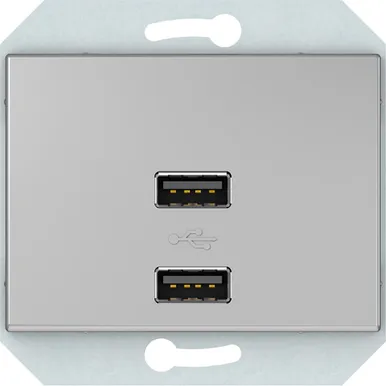 USB PESA VILMA XP500 RAAMITA 2XUSB 3,4 А METALLIC