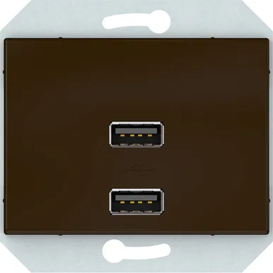 USB PESA VILMA XP500 RAAMITA 2XUSB 3,4 А PRUUN