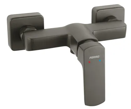 DUŠISEGISTI FERRO LIPPI ECOLOGICA GRAFIIT