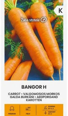 PORGAND BANGOR H