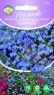 RIPPLOBEELIA HAMBURGIA