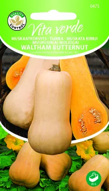 MUSKAATKÕRVITS WALTHAM BUTTERNUT