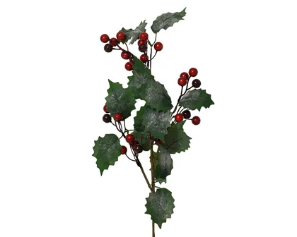 JÕULUKAUNISTUS OKS 20X5X60CM