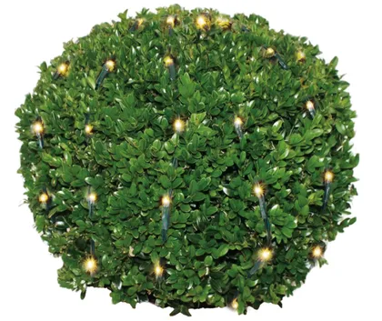 JÕULUVALGUSTUS SISE KUUL 100LED IP44 SOE VALGUS Ø90CM