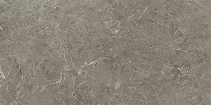 PÕRANDA-JA SEINAPLAAT CERSANIT DELIA TAUPE MATT 59,8X119,8CM 1,43M² PAKIS