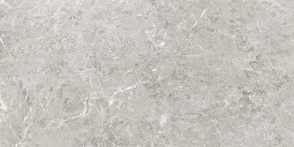 PÕRANDA-JA SEINAPLAAT CERSANIT DELIA GREY MATT 59,8X119,8CM 1,43M² PAKIS