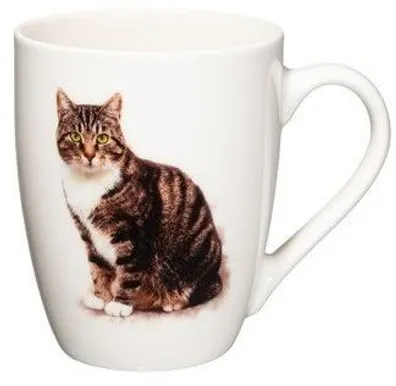 KRUUS 4LIVING 340ML MAINE COON