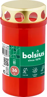 KALMUKÜÜNAL BOLSIUS KAANEGA 36H PUNANE