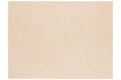 KERAAMILINE SEINAPLAAT 25X33,3 TANI BEIGE