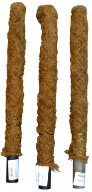 KOOKOSKEPP 40CM