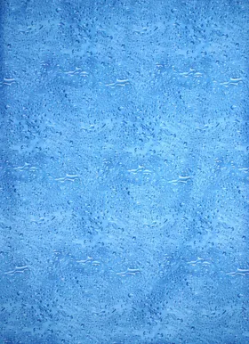 DUŠIKARDIN 180X200CM DUSCHY 622-32 VEEPIISAD POLÜESTER