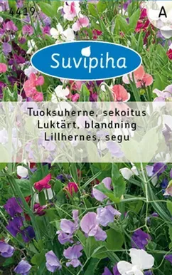 LILLESEEMNED SUVIPIHA LILLHERNES SEGU 