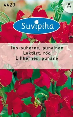 LILLESEEMNED SUVIPIHA LILLHERNES PUNANE 