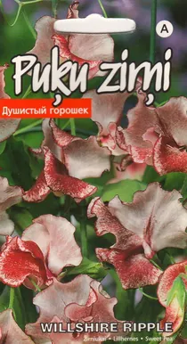 LILLHERNES WILLSHIRE RIPPLE 2G