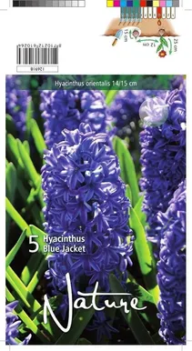 LILLESIBUL HÜATSINT BLUE JACKET 5TK PAKIS