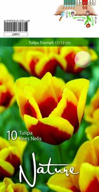 LILLESIBUL TULP TRIUMPH KEES NELIS 10TK PAKIS
