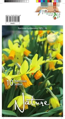 LILLESIBUL NARTSISS JETFIRE 10TK PAKIS