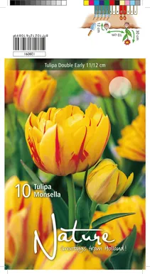 LILLESIBUL TULP DOUBLE EARLY MONSELLA 10TK PAKIS