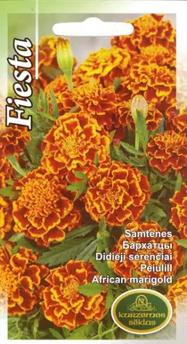 SEEMNED KURZEMES SEKLAS PEIULILL FIESTA 1 G